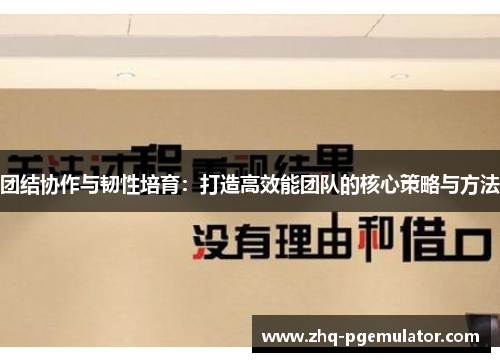 团结协作与韧性培育：打造高效能团队的核心策略与方法