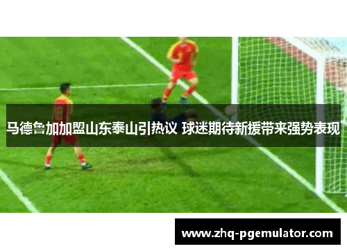 马德鲁加加盟山东泰山引热议 球迷期待新援带来强势表现