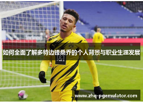 如何全面了解多特边锋桑乔的个人背景与职业生涯发展