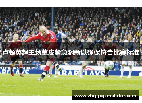 卢顿英超主场草皮紧急翻新以确保符合比赛标准